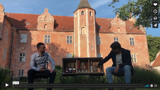 RUNEWOOD AT HARRIDSLEVGAARD SLOT (CASTLE) DURING THE SUMMER SOLSTICE